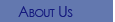 Ocean Wave Energy Company - About Us